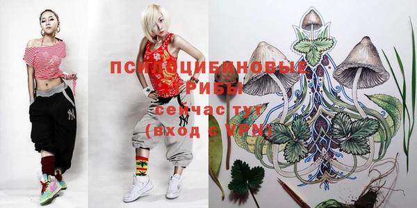 молекула духа Баксан