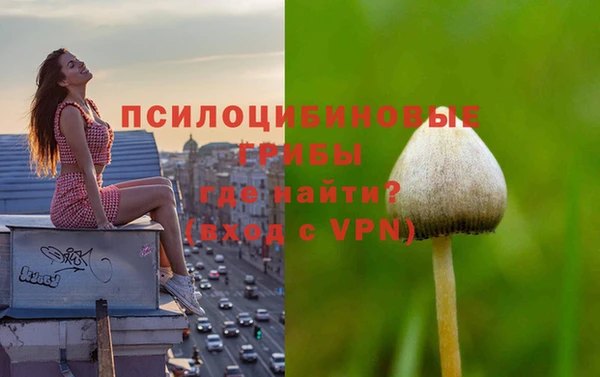мяу мяу мука Балабаново